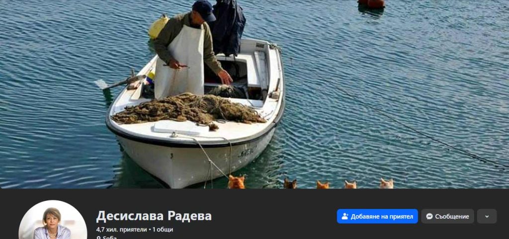 Коричната снимка на фейсбук профила на Десислава Радева