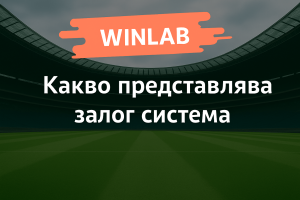Какво представлява залог система?